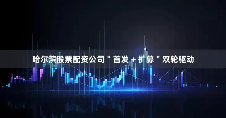 哈尔滨股票配资公司＂首发 + 扩募＂双轮驱动