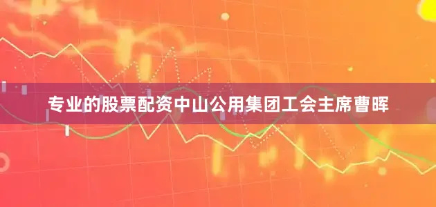 专业的股票配资中山公用集团工会主席曹晖