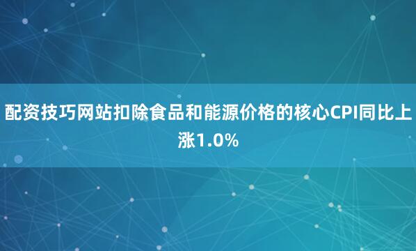 配资技巧网站扣除食品和能源价格的核心CPI同比上涨1.0%