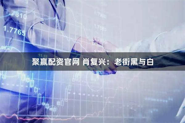 聚赢配资官网 肖复兴：老街黑与白
