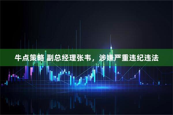 牛点策略 副总经理张韦，涉嫌严重违纪违法
